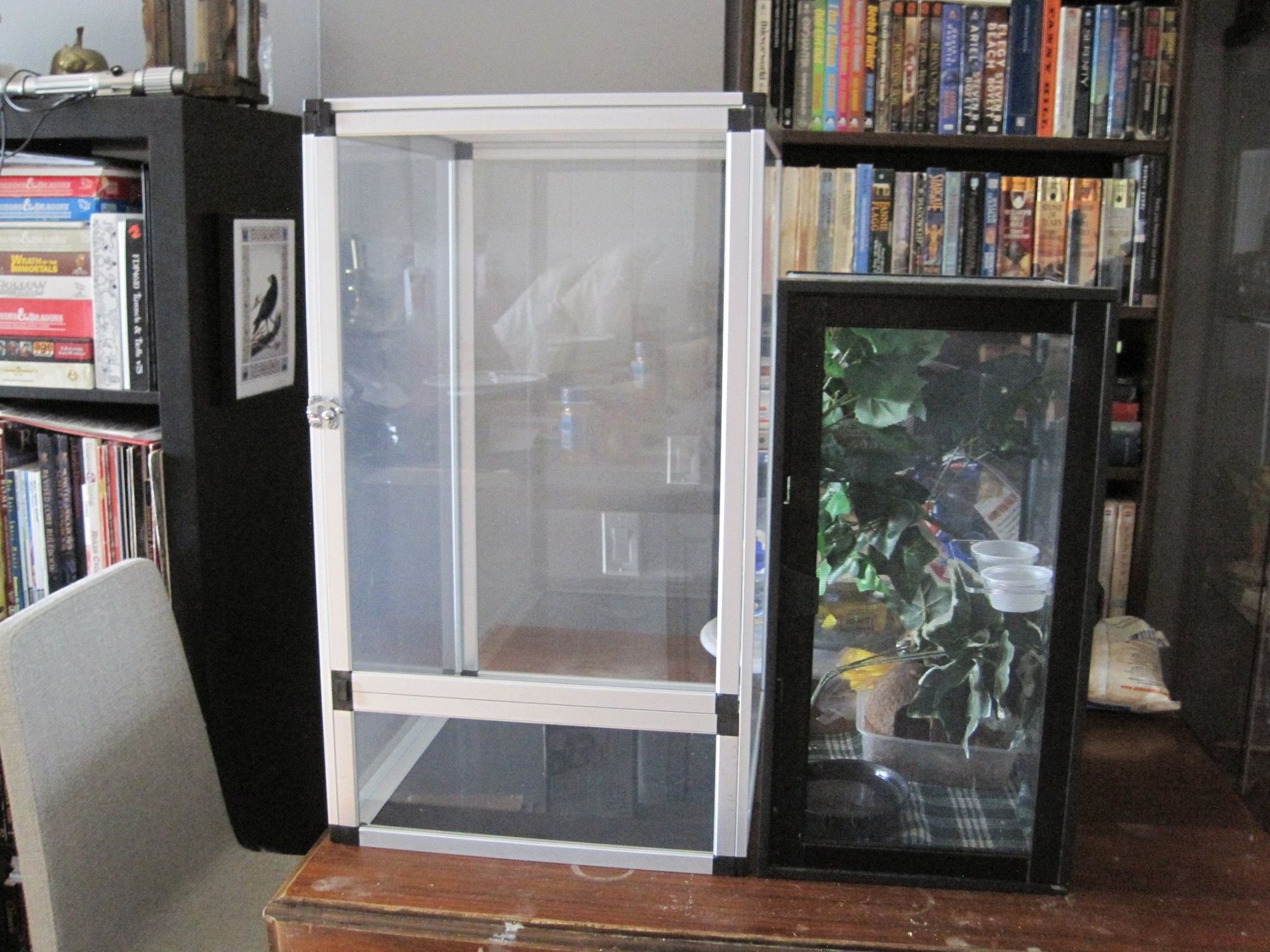 Left: Large Reptile Edge terrarium. Right: A standard 10 gallon.